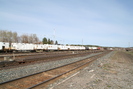 2006-04-29.9469.Capreol.jpg