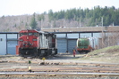 2006-04-29.9497.Capreol.jpg