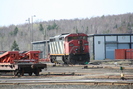 2006-04-29.9500.Capreol.jpg