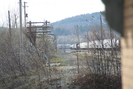 2006-04-29.9554.Capreol.jpg