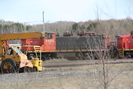 2006-04-29.9557.Capreol.jpg