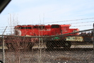 2006-04-29.9564.Capreol.jpg