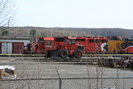 2006-04-29.9575.Capreol.jpg