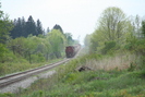 2006-05-15.0481.Guelph.jpg