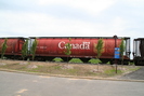 2006-06-04.1208.Dorion.jpg
