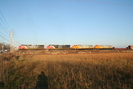 2006-11-22.6283.Mansewood.jpg
