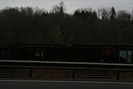 2006-12-31.9002.Punxsutawney.jpg