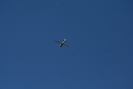 2007-03-17.1270.Brantford.jpg