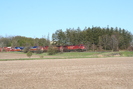 2007-05-06.3111.Puslinch.jpg