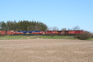 2007-05-06.3115.Puslinch.jpg