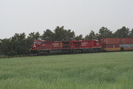 2007-05-27.4064.Alliston.jpg