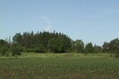 2007-06-09.4746.Puslinch.mpg.jpg