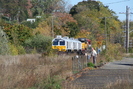 2007-10-21.8327.Guelph.jpg