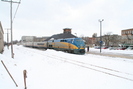 2008-02-18.0011.Guelph.jpg