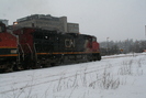 2008-02-18.0081.Guelph.jpg