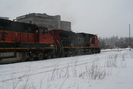 2008-02-18.0083.Guelph.jpg