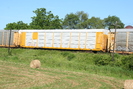 2008-07-05.2888.Puslinch.jpg