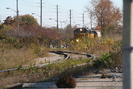 2008-10-19.4483.Guelph.jpg