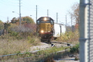 2008-10-19.4485.Guelph.jpg