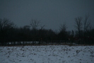 2008-12-02.4684.Killean.jpg