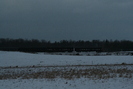 2008-12-02.4690.Killean.jpg