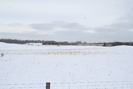 2009-01-10.4748.Killean.jpg