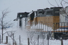 2009-02-07.5008.Seaforth.jpg