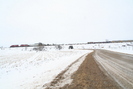 2009-02-07.5198.Zorra.jpg