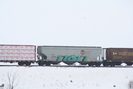 2009-02-07.5213.Zorra.jpg