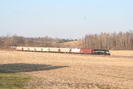 2009-02-17.5805.Lyons.jpg