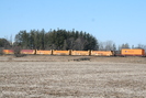 2009-03-15.6000.Puslinch.jpg