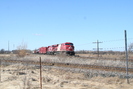 2009-04-11.6240.Vaughan.jpg
