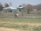 2009-04-25.0460.Arkell.jpg