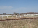 2009-04-25.0511.Corwhin.jpg