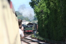 2009-06-16.7184.Williton.jpg