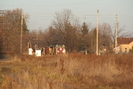 2009-11-08.8452.Guelph.jpg