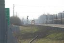 2010-04-01.9168.Dorion.jpg