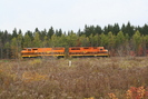 2010-10-14.2841.Masson.jpg