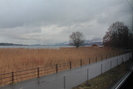 2011-12-30.1603.Zurich.jpg