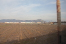 2012-01-01.1848.Rovato.jpg