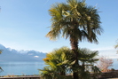 2012-01-03.2080.Montreux.jpg