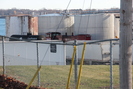 2015-11-10.4851.Cardinal.jpg
