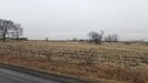 2019-12-28.7590.Walcott-IA.avi.jpg