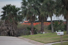 2020-01-01.8130.Galveston-TX.jpg