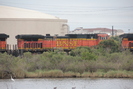 2020-01-01.8187.Galveston-TX.jpg