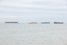 2020-01-01.8260.Galveston-TX.jpg