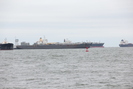 2020-01-01.8335.Galveston-TX.jpg