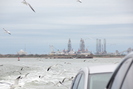 2020-01-01.8367.Galveston-TX.jpg