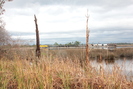 2020-01-03.6659.Moss_Point-MS.jpg