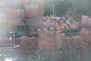 2020-01-05.4578.Orlando-FL.jpg